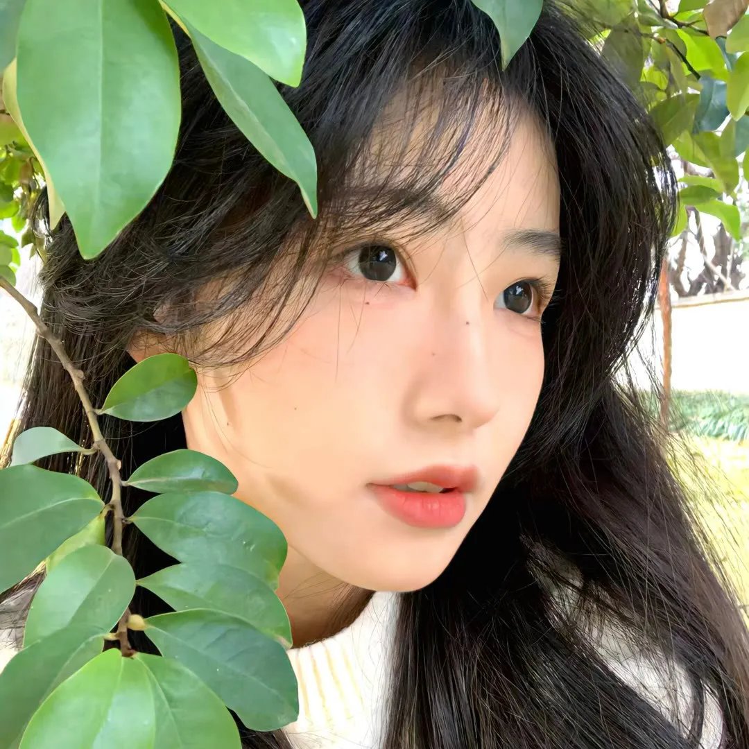 暴力小姐